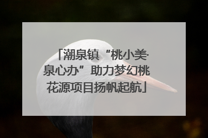 潮泉镇“桃小美·泉心办”助力梦幻桃花源项目扬帆起航