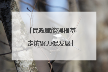 民政赋能强根基 走访聚力促发展