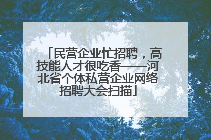 民营企业忙招聘，高技能人才很吃香——河北省个体私营企业网络招聘大会扫描