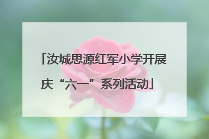 汝城思源红军小学开展庆“六一”系列活动