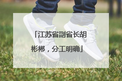 江苏省副省长胡彬郴，分工明确