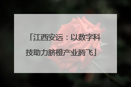 江西安远：以数字科技助力脐橙产业腾飞