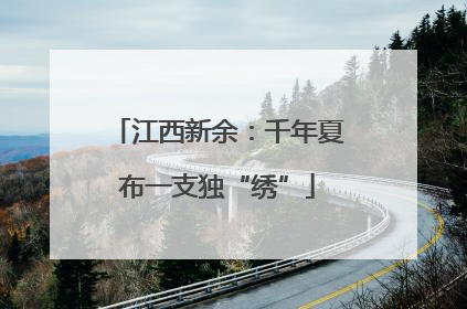 江西新余：千年夏布一支独“绣”