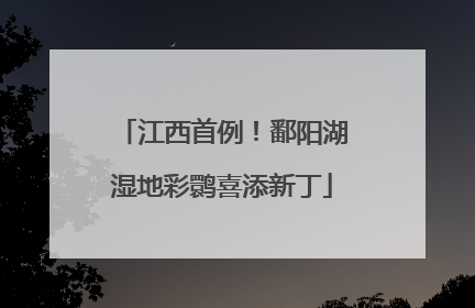 江西首例！鄱阳湖湿地彩鹮喜添新丁