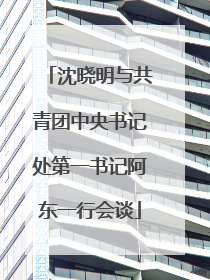 沈晓明与共青团中央书记处第一书记阿东一行会谈