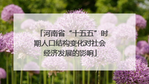 河南省“十五五”时期人口结构变化对社会经济发展的影响