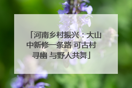 河南乡村振兴：大山中新修一条路 可古村寻幽 与野人共舞