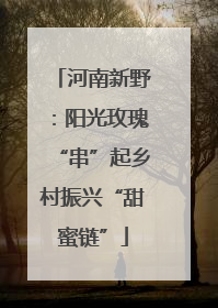 河南新野：阳光玫瑰“串”起乡村振兴“甜蜜链”