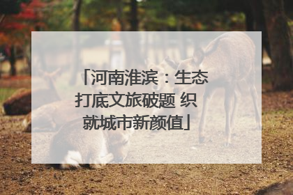 河南淮滨：生态打底文旅破题 织就城市新颜值