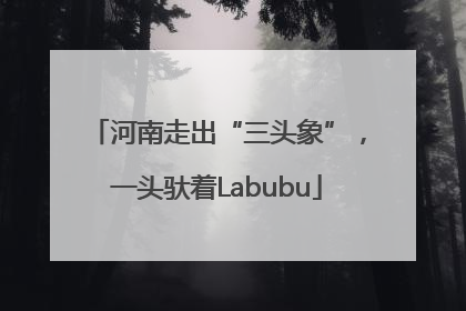 河南走出“三头象”，一头驮着Labubu