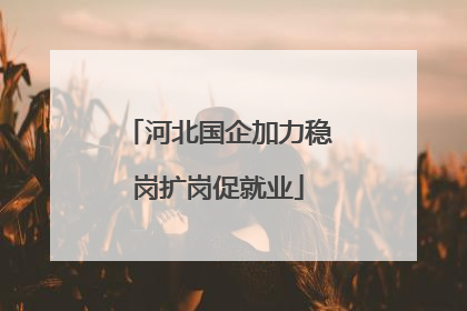 河北国企加力稳岗扩岗促就业