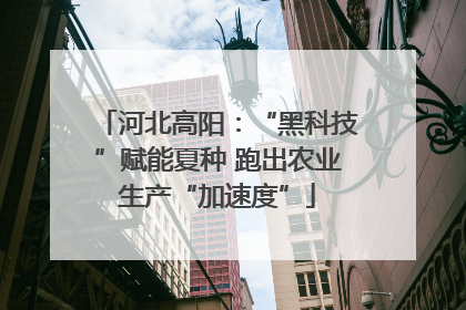 河北高阳：“黑科技”赋能夏种 跑出农业生产“加速度”