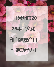 泉州市2025年“文化和自然遗产日”活动举办