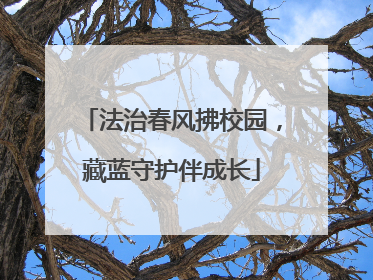 法治春风拂校园，藏蓝守护伴成长