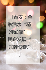 泰安：金融活水“精准滴灌” 民企发展“加速快跑”