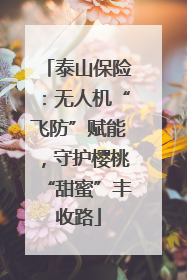 泰山保险：无人机“飞防”赋能，守护樱桃“甜蜜”丰收路