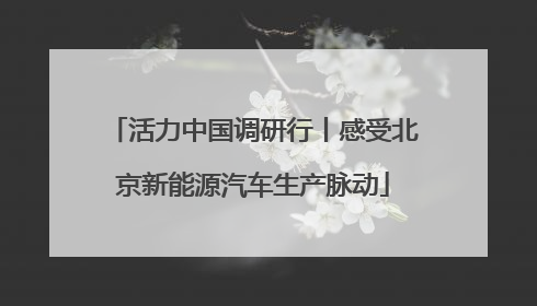 活力中国调研行丨感受北京新能源汽车生产脉动