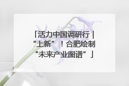 活力中国调研行｜“上新”！合肥绘制“未来产业图谱”