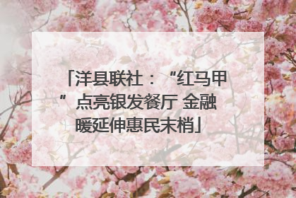 洋县联社：“红马甲”点亮银发餐厅 金融暖延伸惠民末梢
