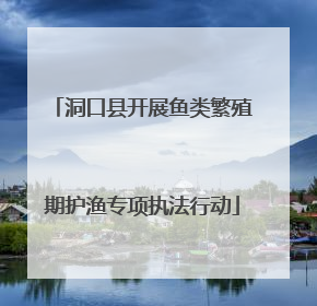 洞口县开展鱼类繁殖期护渔专项执法行动