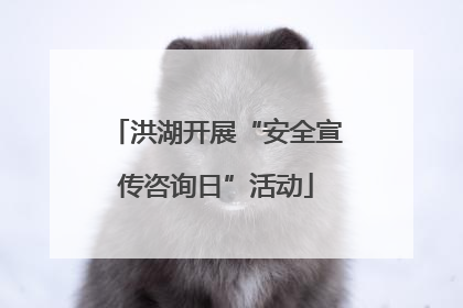 洪湖开展“安全宣传咨询日”活动