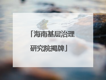 海南基层治理研究院揭牌