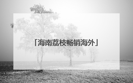 海南荔枝畅销海外