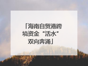 海南自贸港跨境资金“活水”双向奔涌