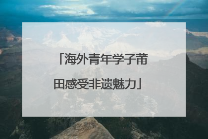 海外青年学子莆田感受非遗魅力