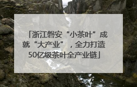浙江磐安“小茶叶”成就“大产业”，全力打造50亿级茶叶全产业链