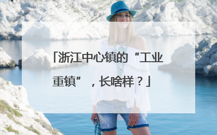 浙江中心镇的“工业重镇”，长啥样？