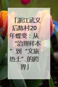 浙江武义后陈村20年蝶变：从“治理样本”到“文旅热土”的跨界