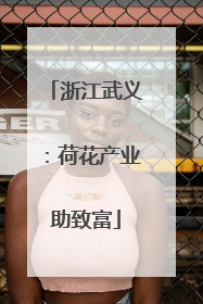 浙江武义：荷花产业助致富