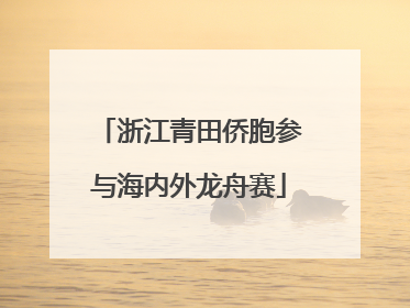 浙江青田侨胞参与海内外龙舟赛