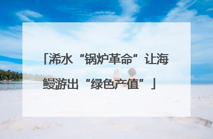 浠水“锅炉革命”让海鳗游出“绿色产值”