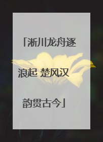 淅川龙舟逐浪起 楚风汉韵贯古今