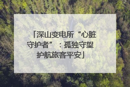 深山变电所“心脏守护者”：孤独守望护航旅客平安