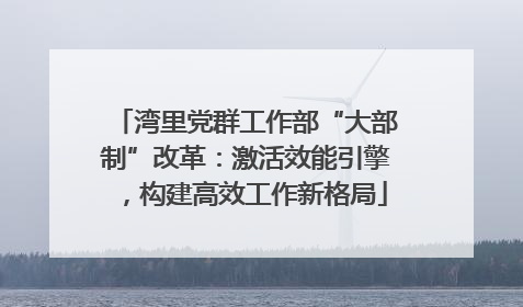 湾里党群工作部“大部制”改革：激活效能引擎，构建高效工作新格局