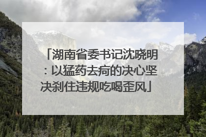 湖南省委书记沈晓明：以猛药去疴的决心坚决刹住违规吃喝歪风