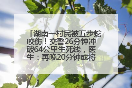 湖南一村民被五步蛇咬伤！交警26分钟冲破64公里生死线，医生：再晚20分钟或将呼吸肌麻痹