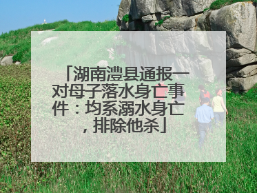 湖南澧县通报一对母子落水身亡事件：均系溺水身亡，排除他杀