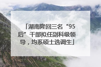 湖南隆回三名“95后”干部拟任副科级领导，均系硕士选调生