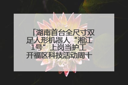 湖南首台全尺寸双足人形机器人“湘江1号”上岗当护工 开福区科技活动周十大科创项目签约