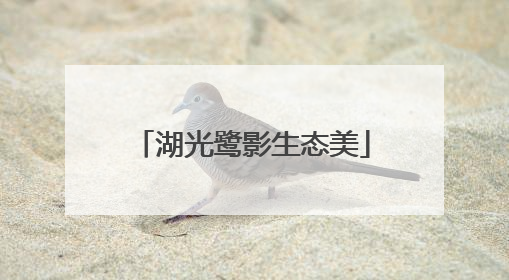 湖光鹭影生态美
