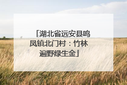 湖北省远安县鸣凤镇北门村：竹林遍野绿生金