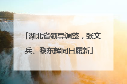 湖北省领导调整，张文兵、黎东辉同日履新