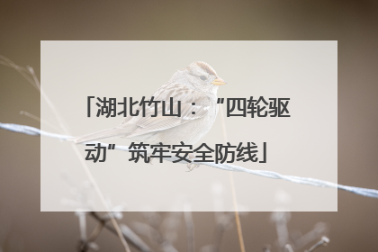 湖北竹山：“四轮驱动”筑牢安全防线