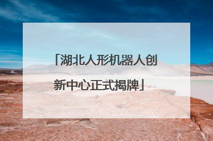 湖北人形机器人创新中心正式揭牌