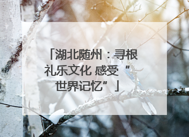 湖北随州：寻根礼乐文化 感受“世界记忆”