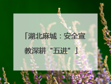 湖北麻城：安全宣教深耕“五进”